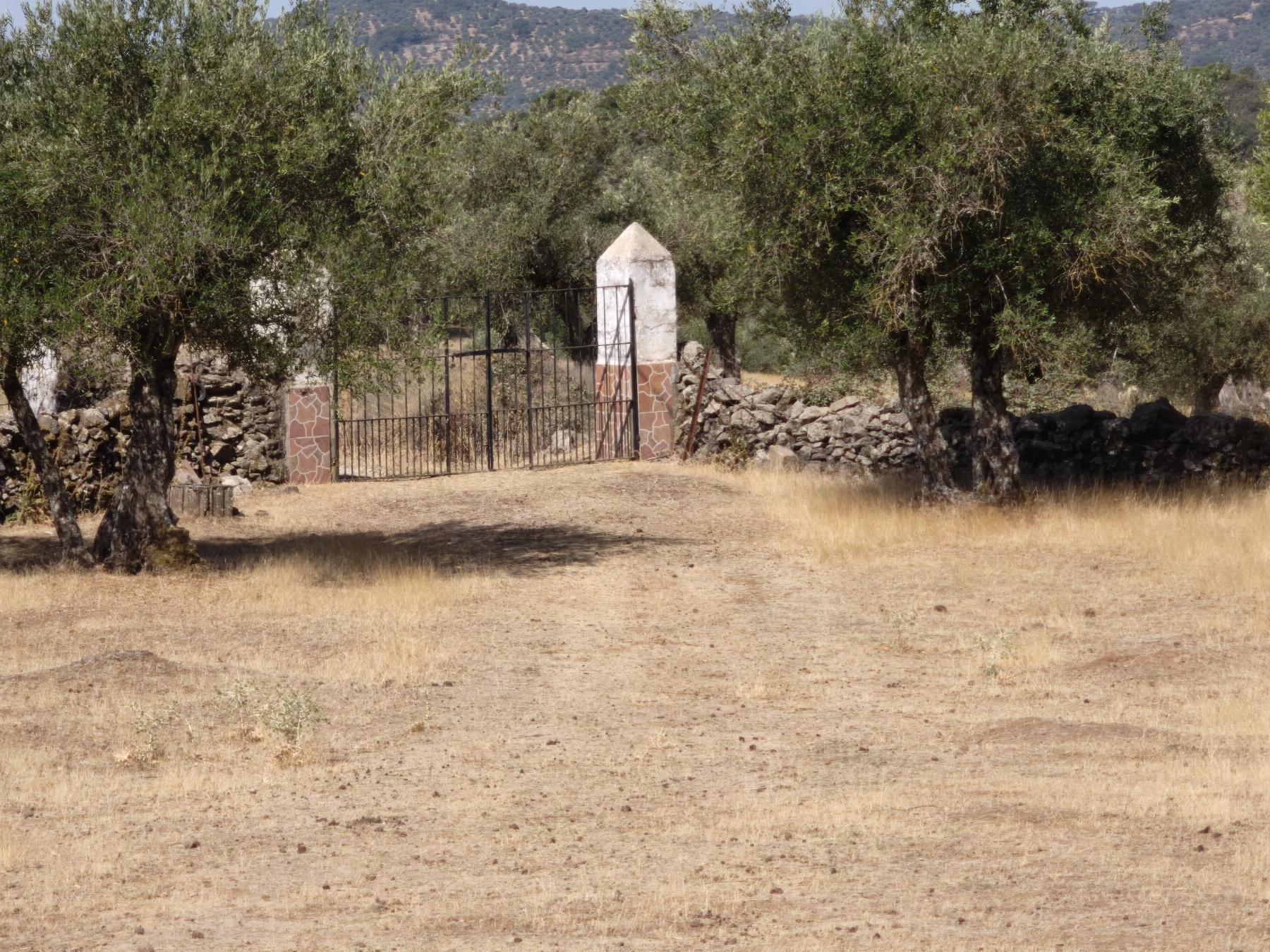 Venta de finca rústica en Fuentes de León