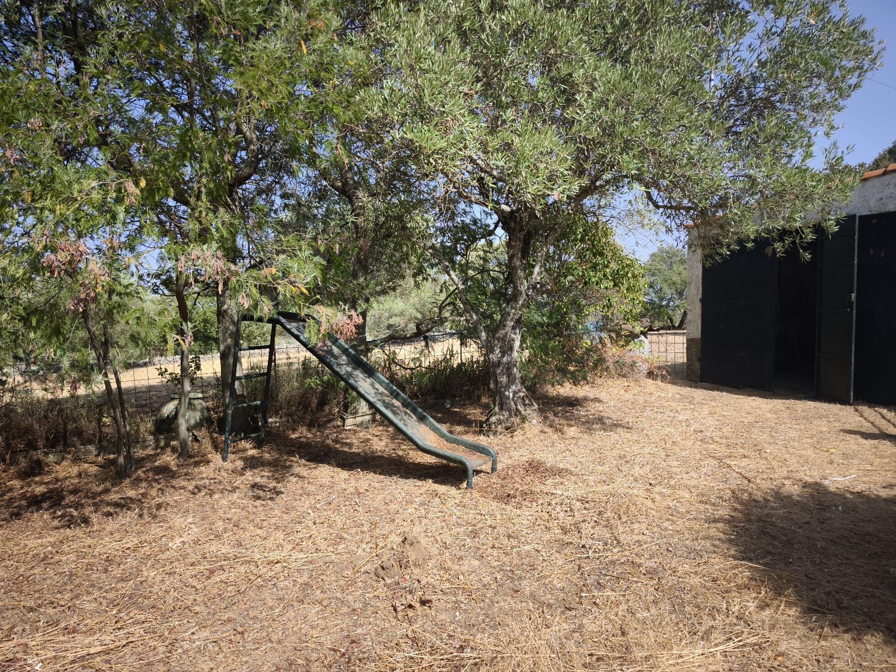 Venta de finca rústica en Fuentes de León