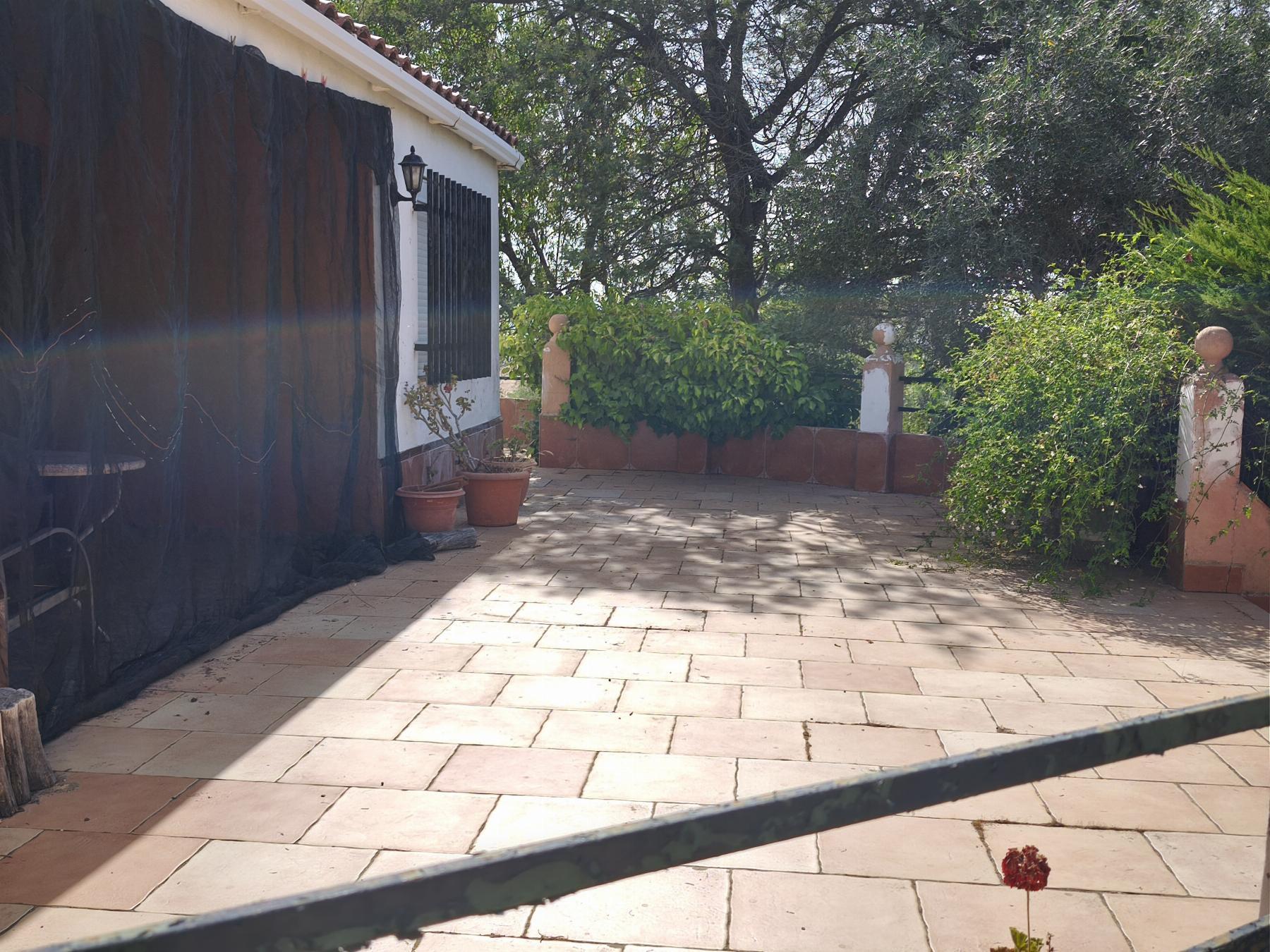 Venta de finca rústica en Fuentes de León
