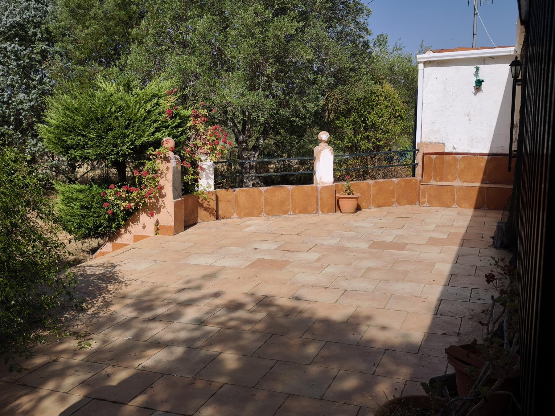Venta de finca rústica en Fuentes de León