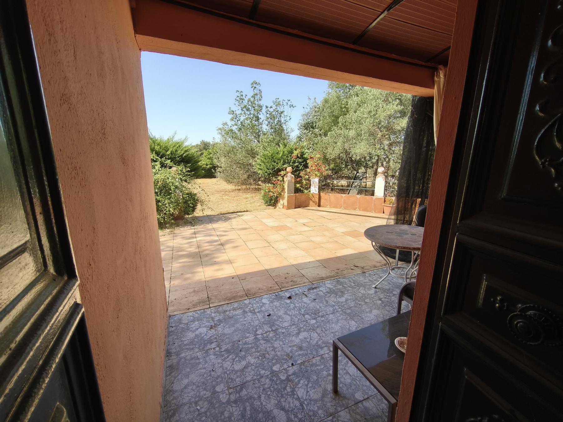 Venta de finca rústica en Fuentes de León