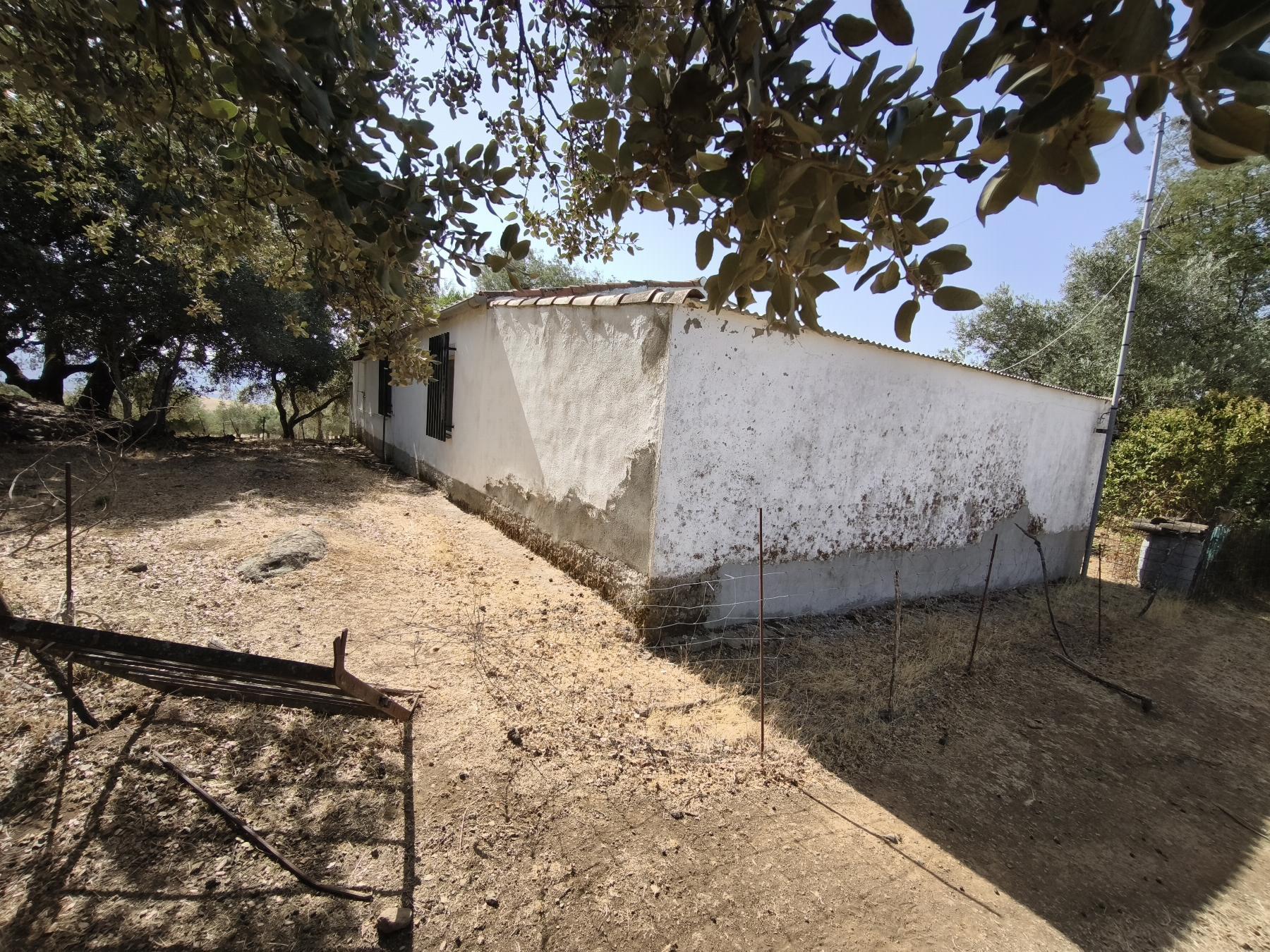 Venta de finca rústica en Fuentes de León