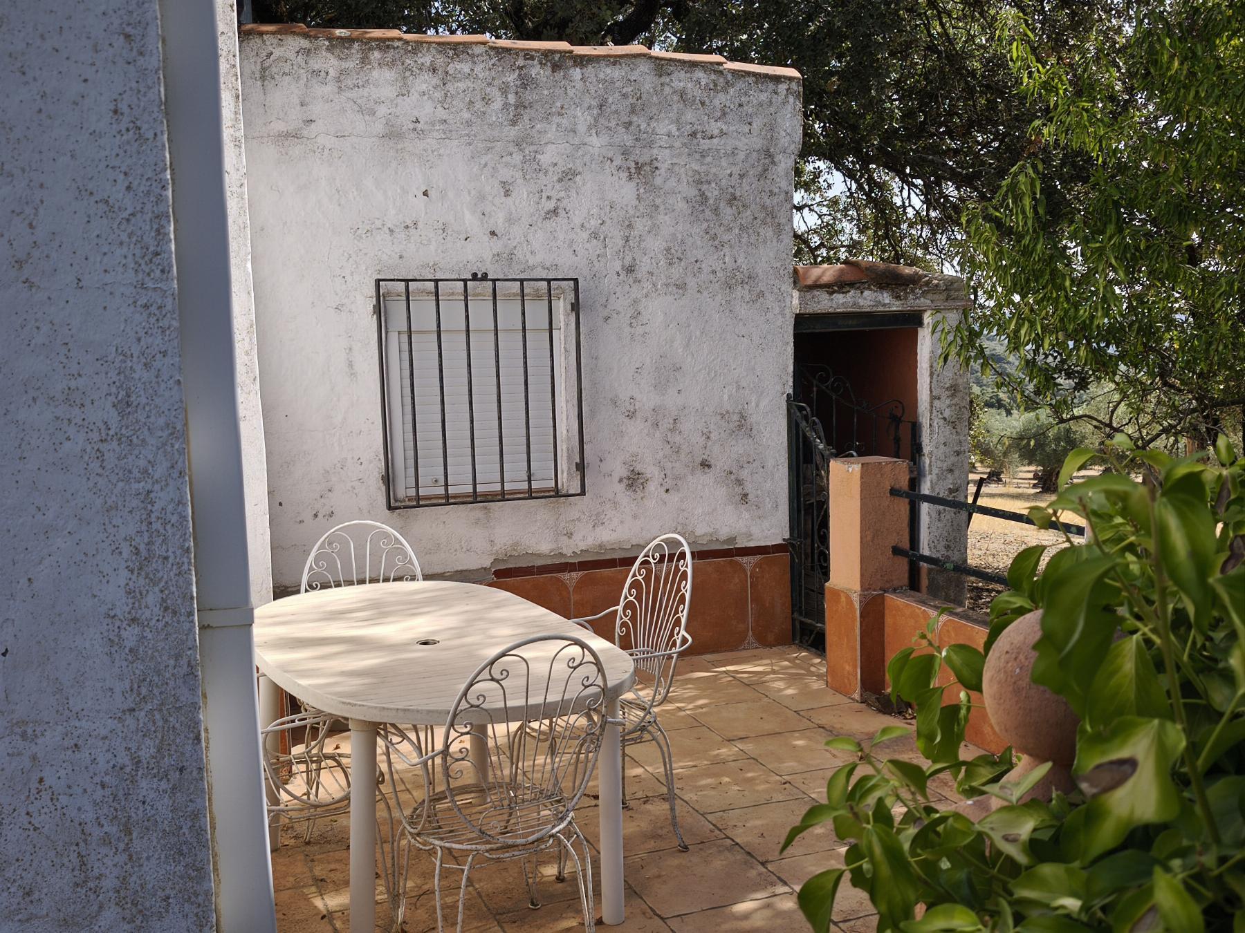 Venta de finca rústica en Fuentes de León