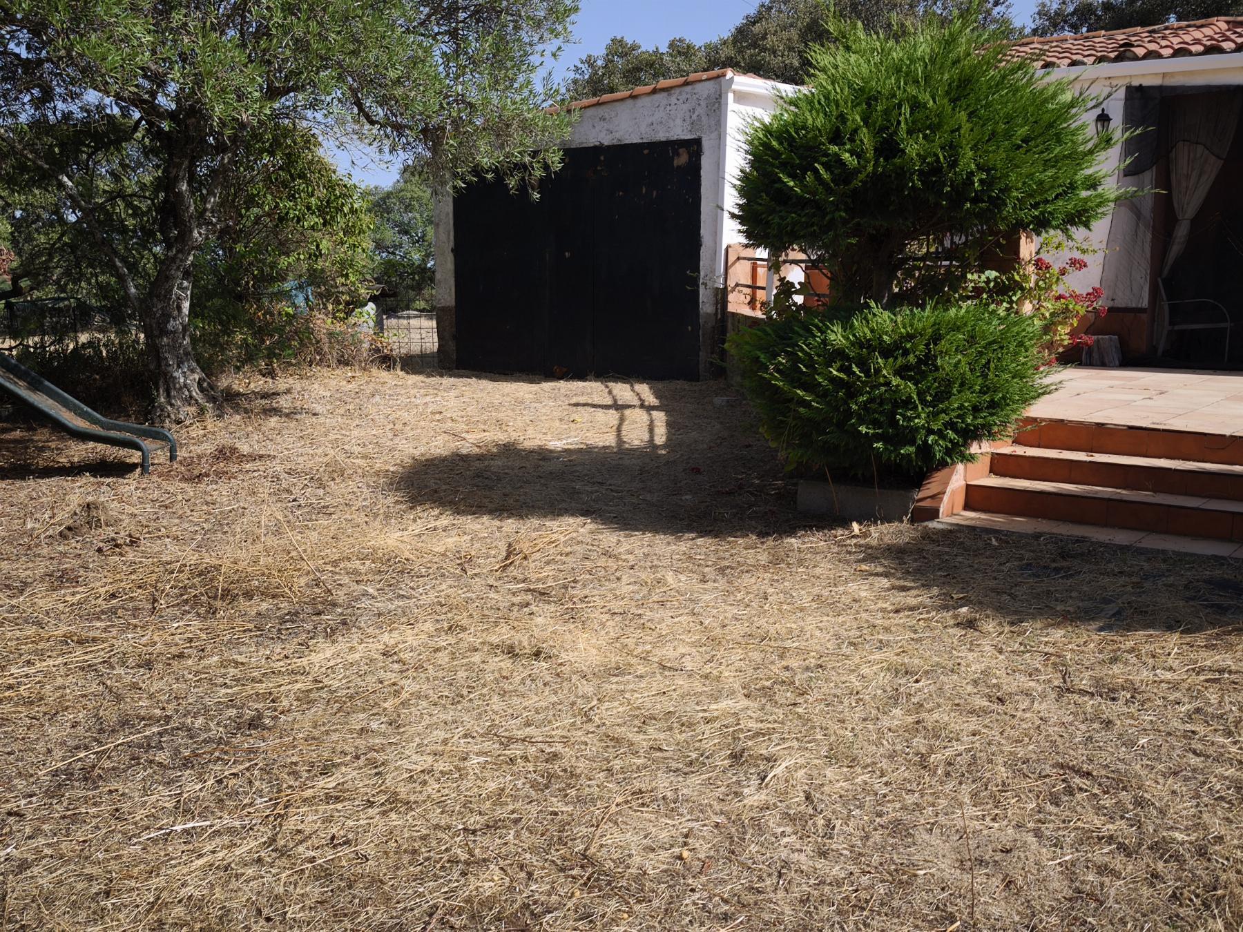 Venta de finca rústica en Fuentes de León