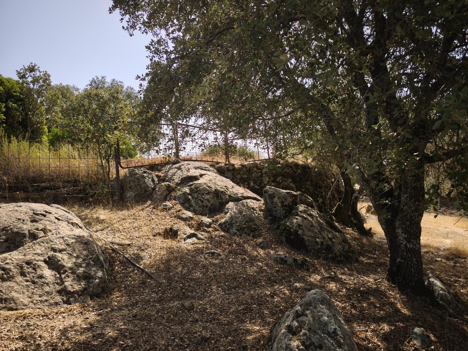 Venta de finca rústica en Fuentes de León
