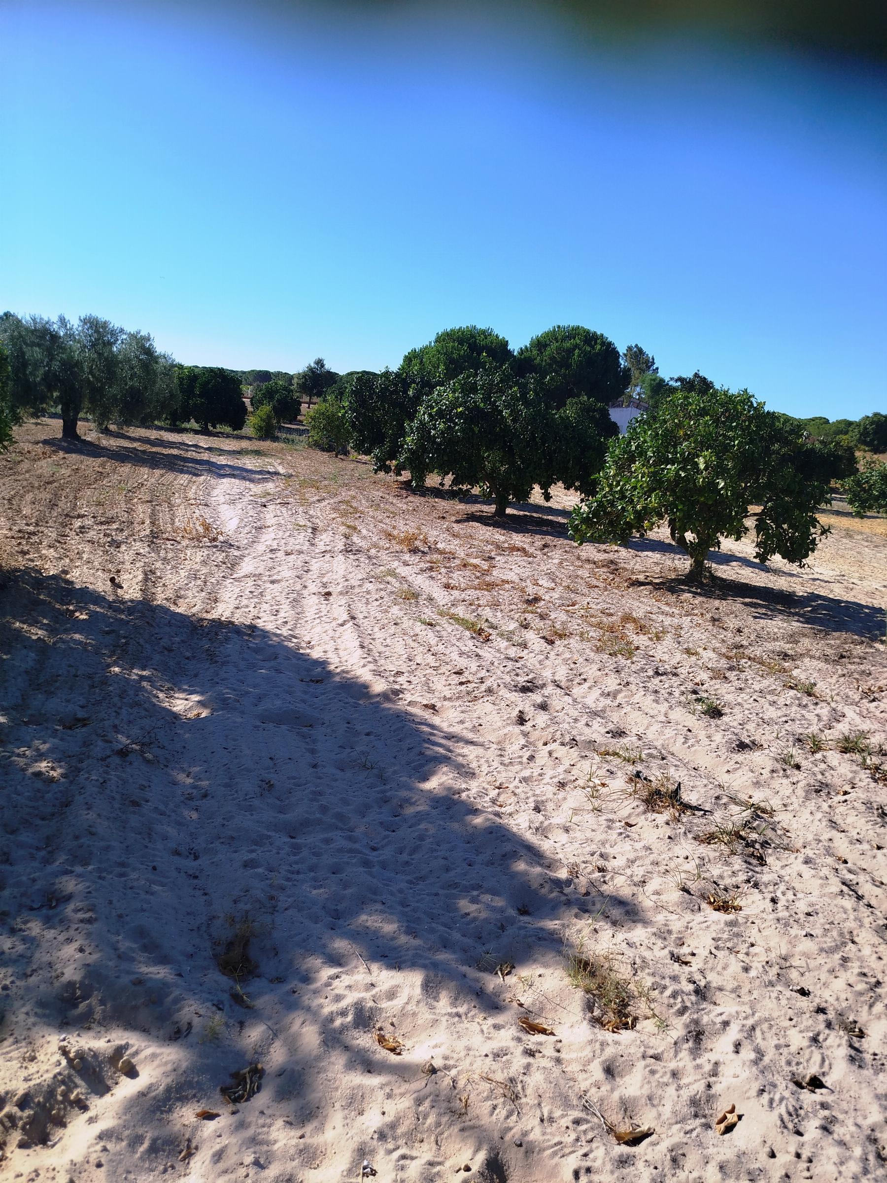 Terreno