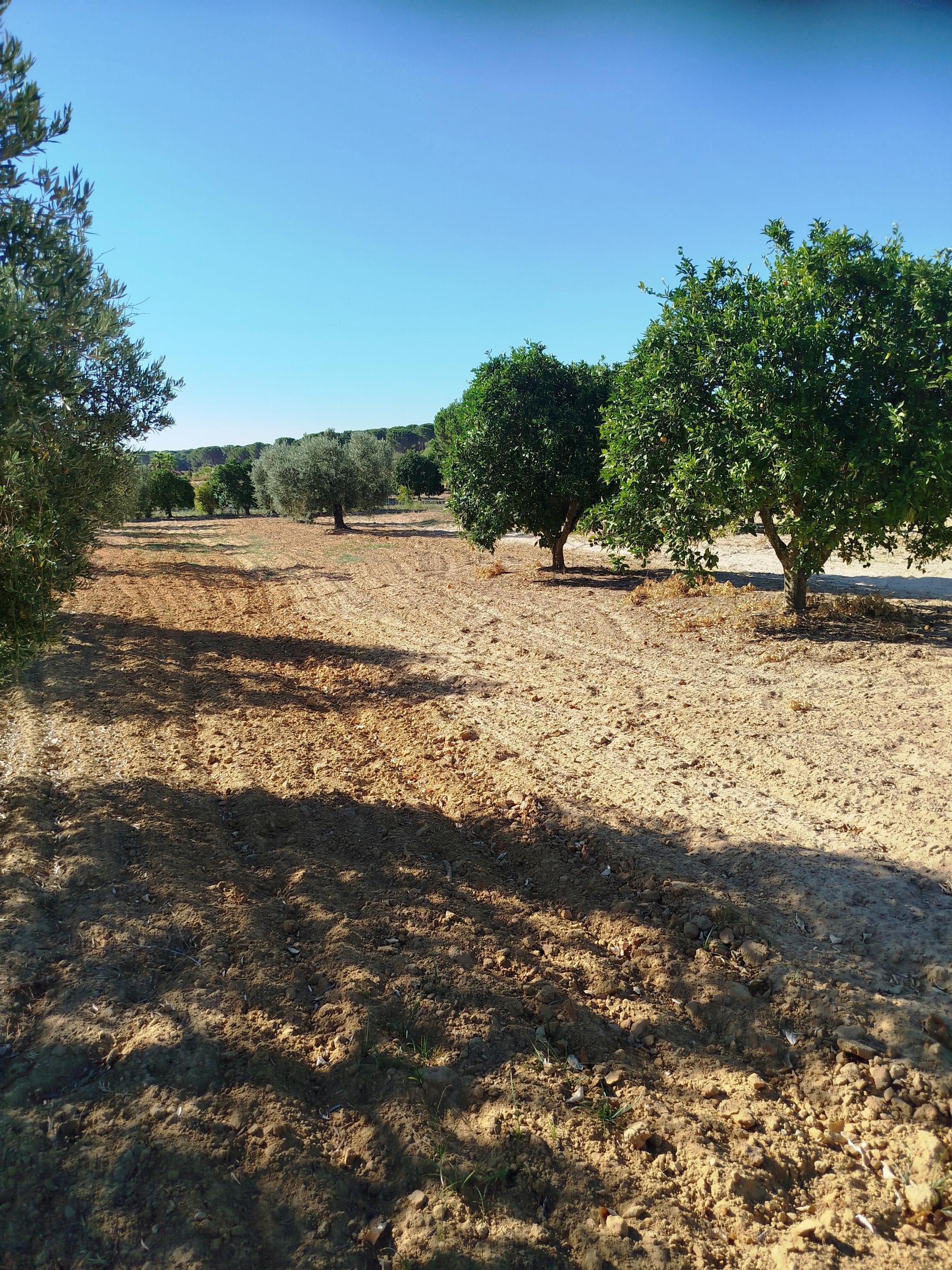 Terreno