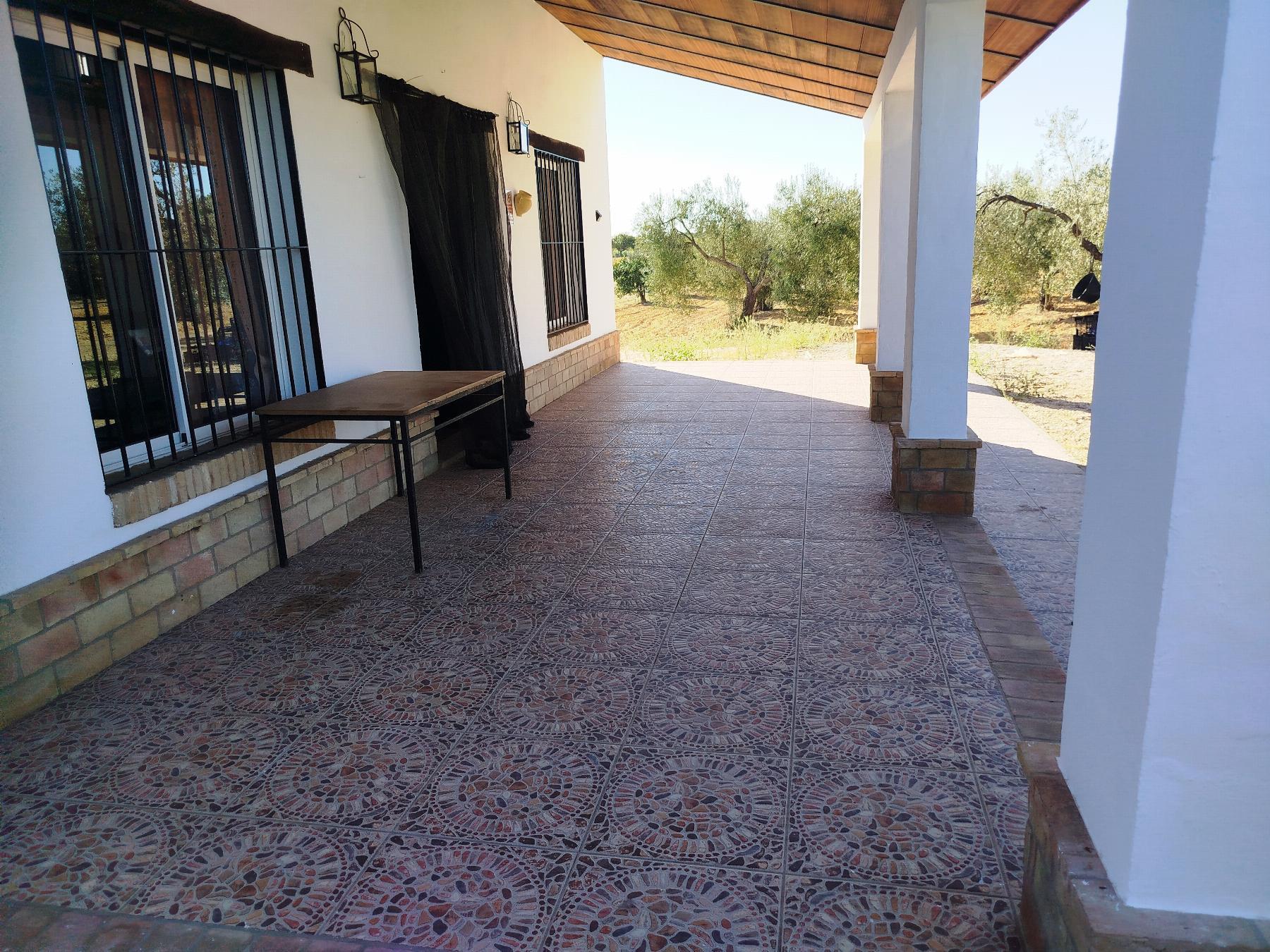 Terraza