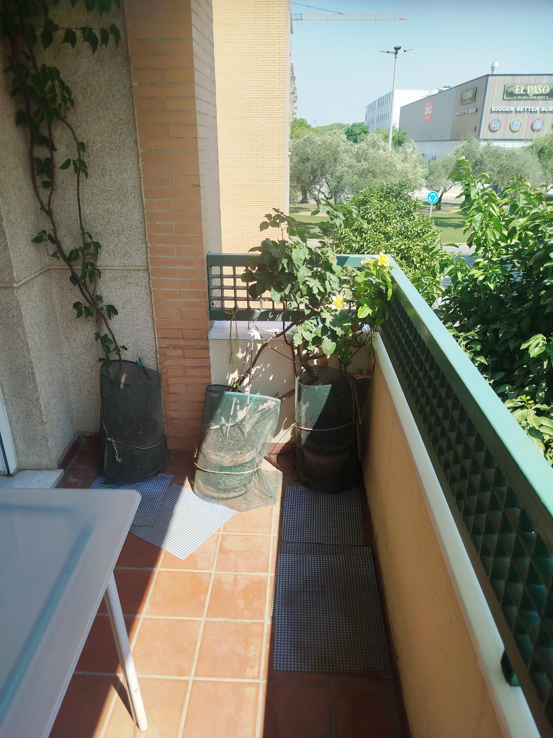 Alquiler de habitación en Bormujos