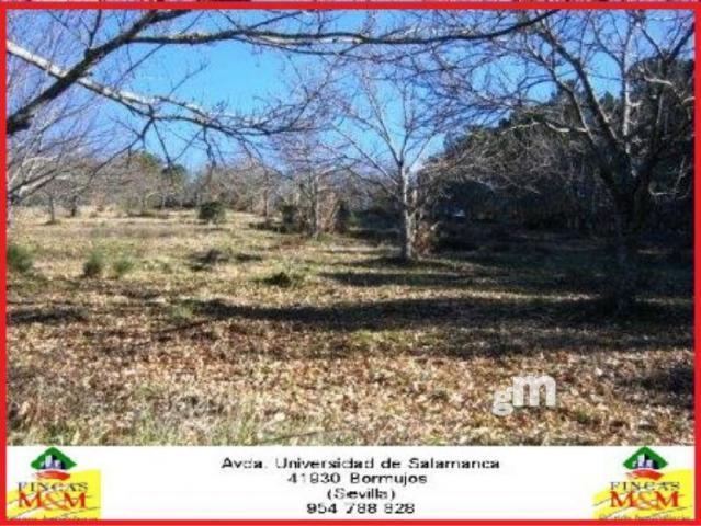 For sale of rural property in Cabeza la Vaca