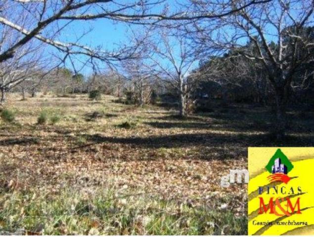 For sale of rural property in Cabeza la Vaca