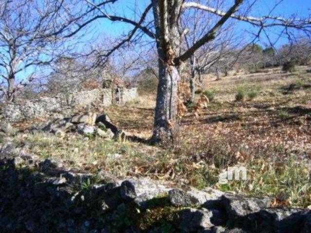 For sale of rural property in Cabeza la Vaca