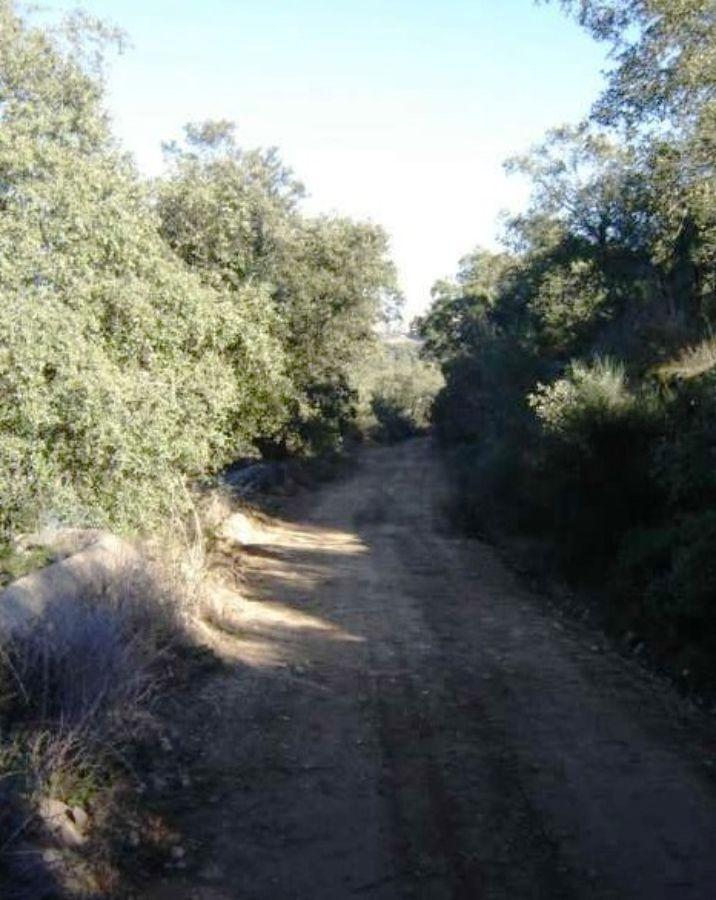 Venta de finca rústica en Cabeza la Vaca