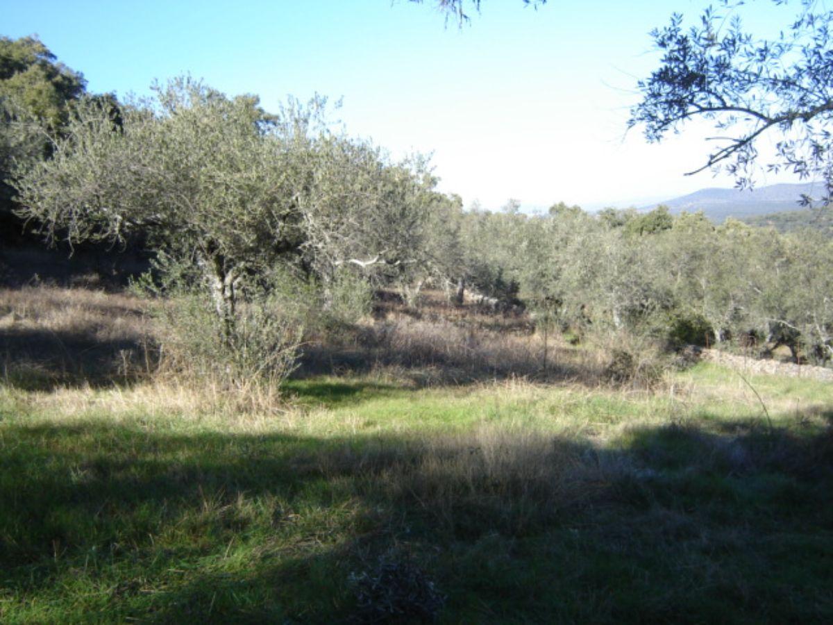 For sale of rural property in Cabeza la Vaca