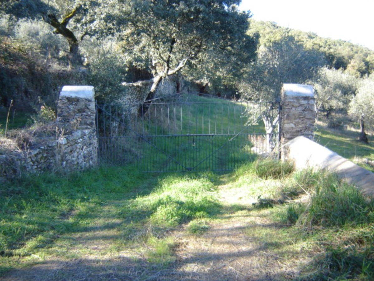 Venta de finca rústica en Cabeza la Vaca