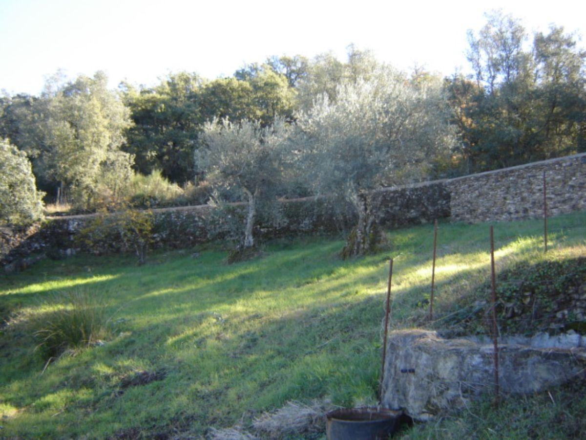 Venta de finca rústica en Cabeza la Vaca