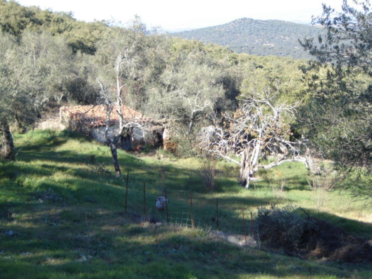 Venta de finca rústica en Cabeza la Vaca