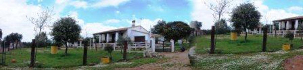 For sale of rural property in Zalamea la Real