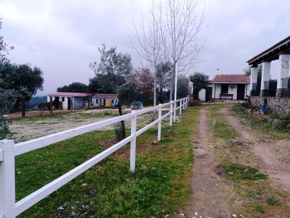 For sale of rural property in Zalamea la Real