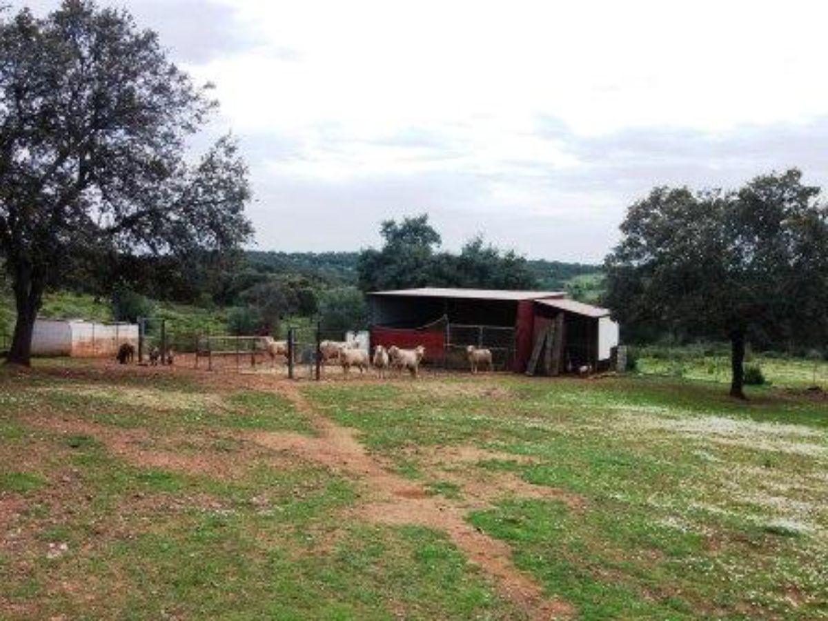 Venta de finca rústica en Zalamea la Real