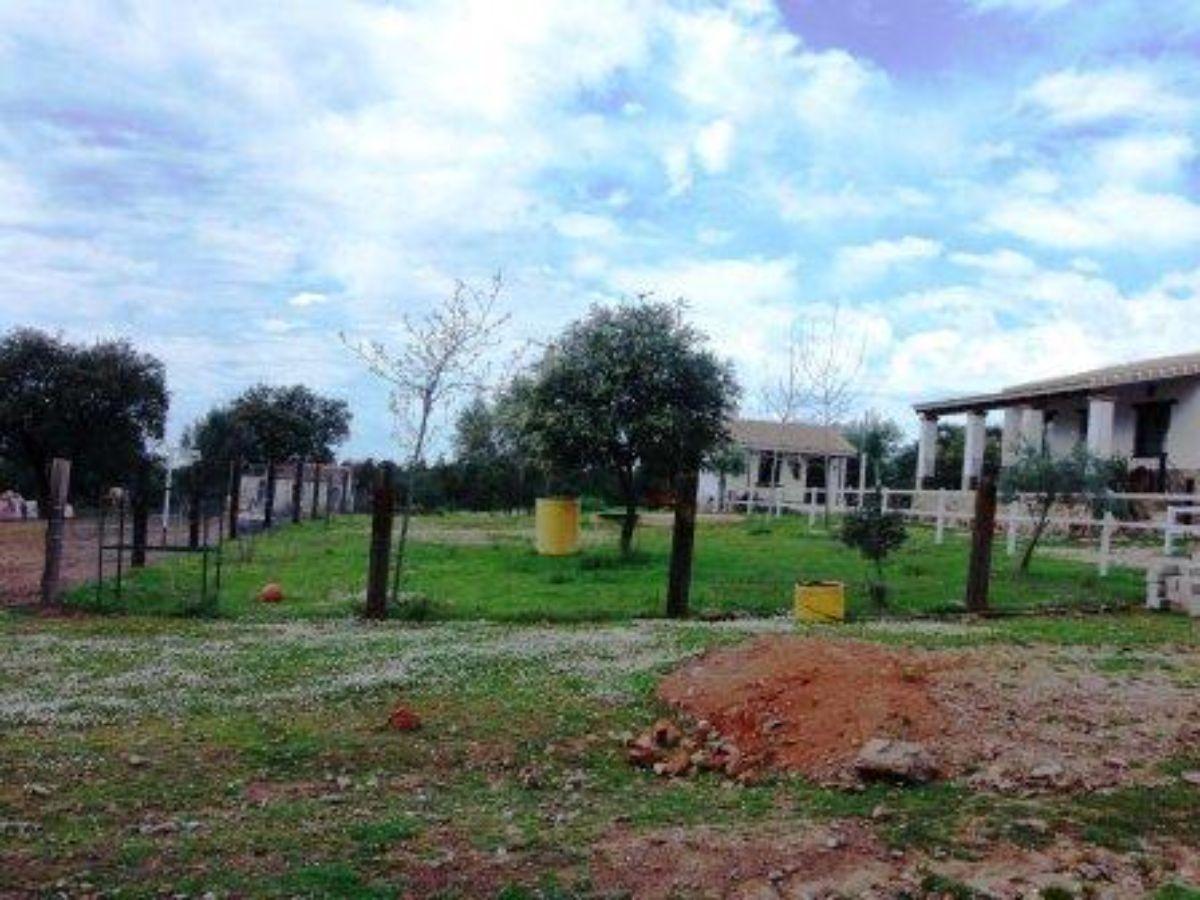 Venta de finca rústica en Zalamea la Real