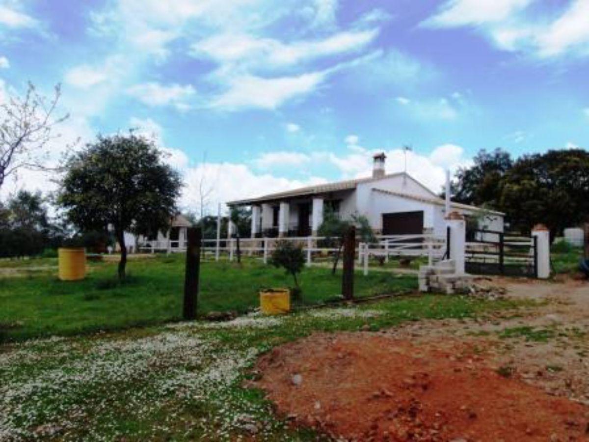 Venta de finca rústica en Zalamea la Real