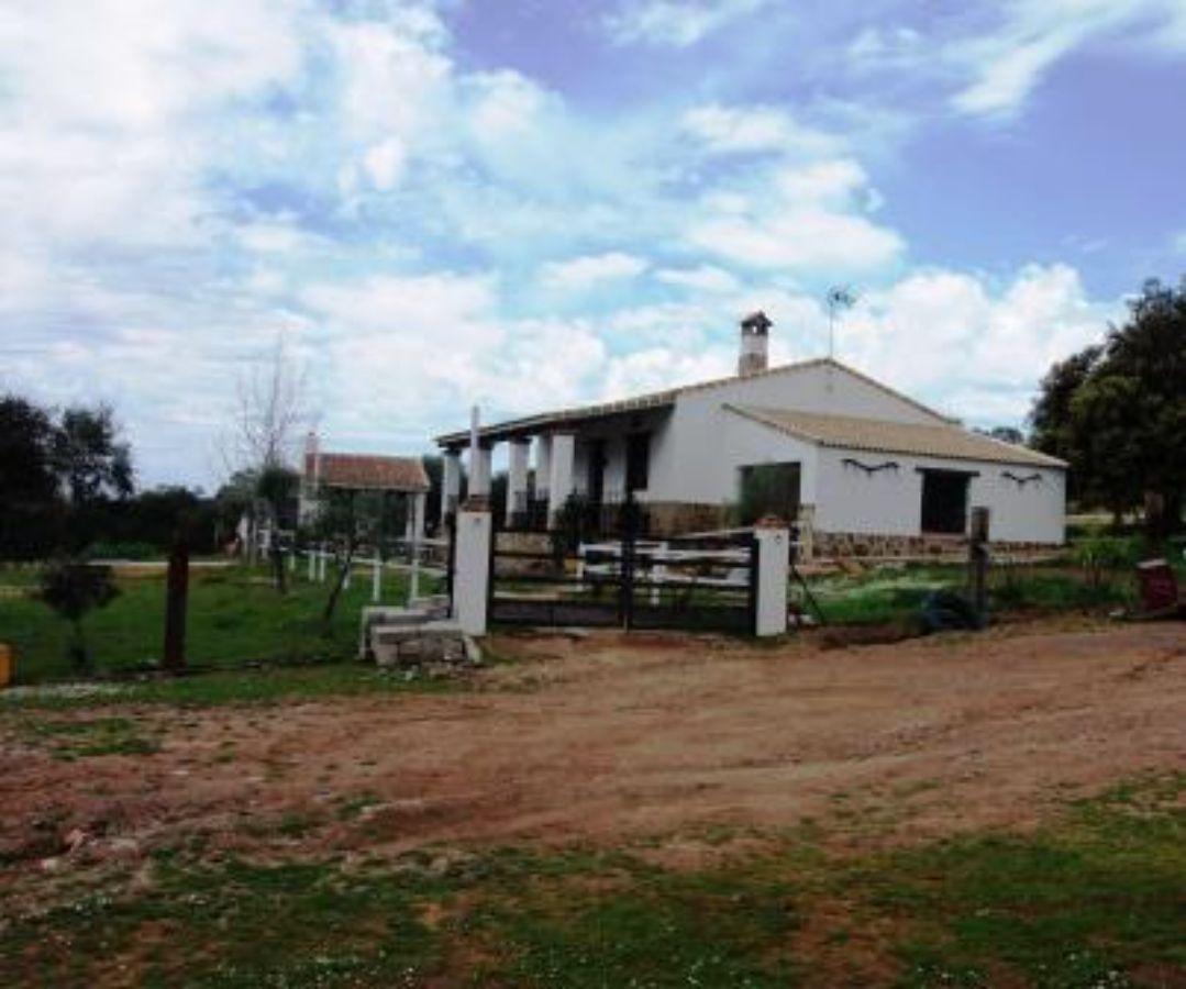 Venta de finca rústica en Zalamea la Real