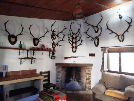 Estancia