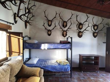 Dormitorio
