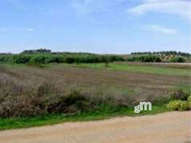 For sale of rural property in Rociana del Condado