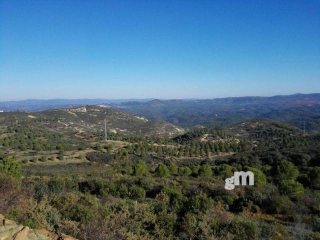 Venta de finca rústica en Jabugo