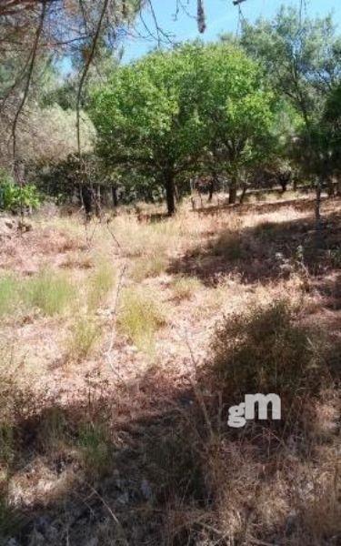 For sale of rural property in Cabeza la Vaca