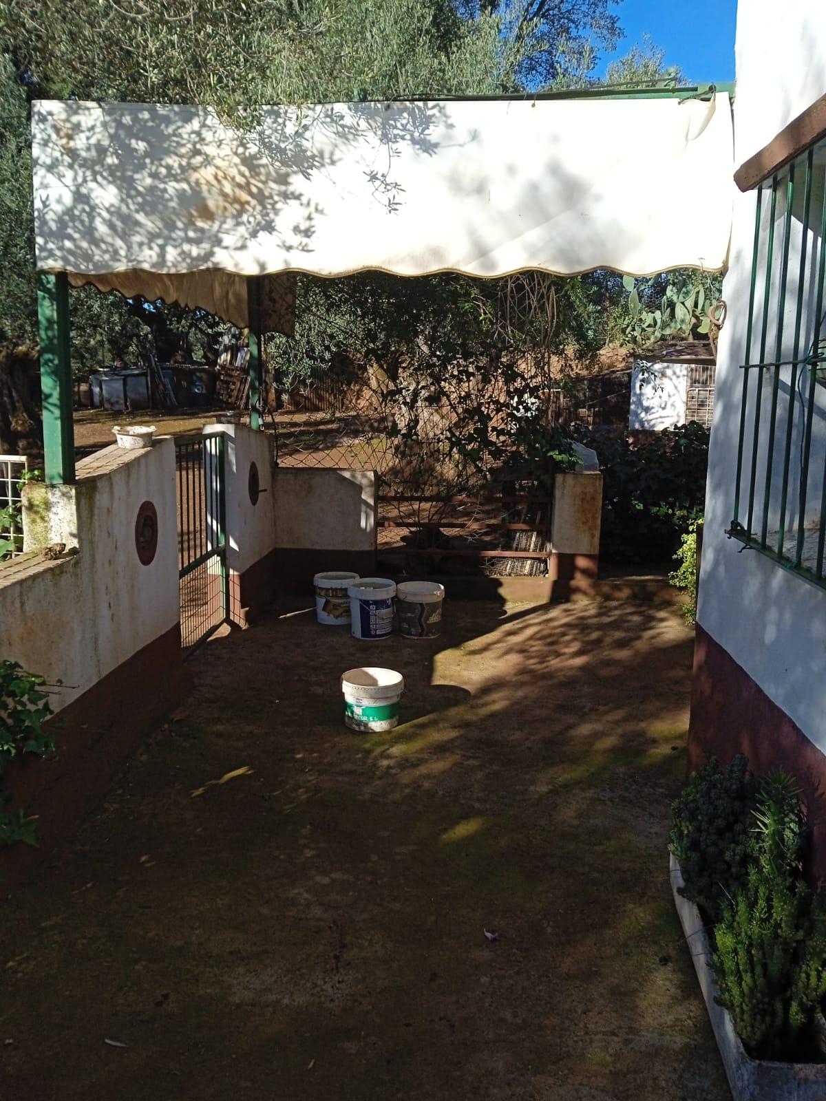 Venta de finca rústica en Fuentes de León