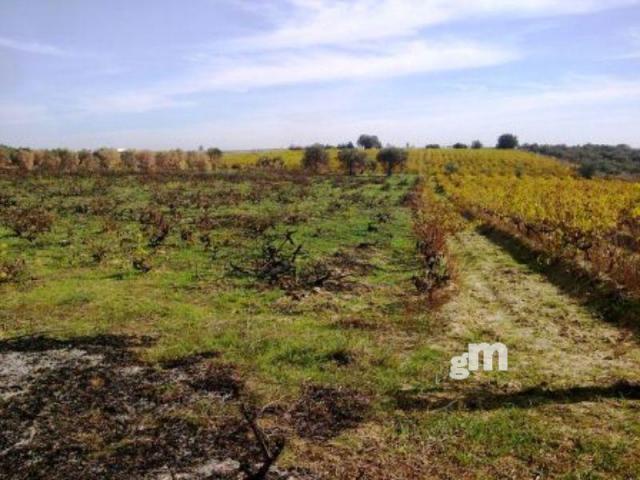 For sale of rural property in Bollullos Par del Condado