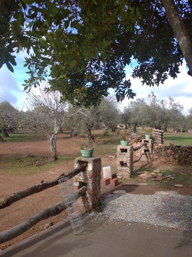 For sale of rural property in Fuentes de León