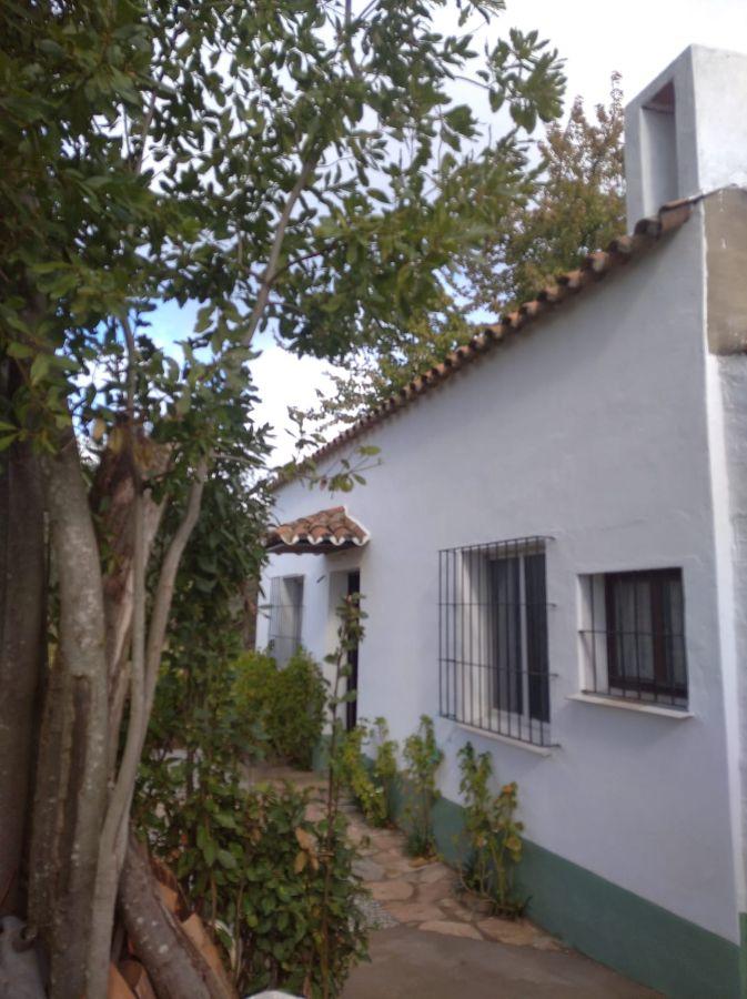 For sale of rural property in Fuentes de León