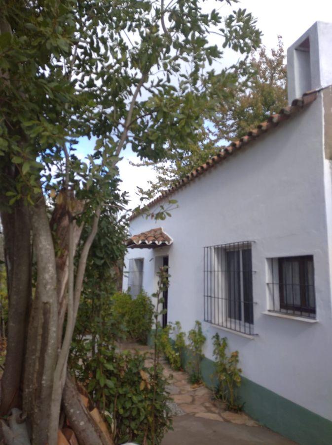 For sale of rural property in Fuentes de León