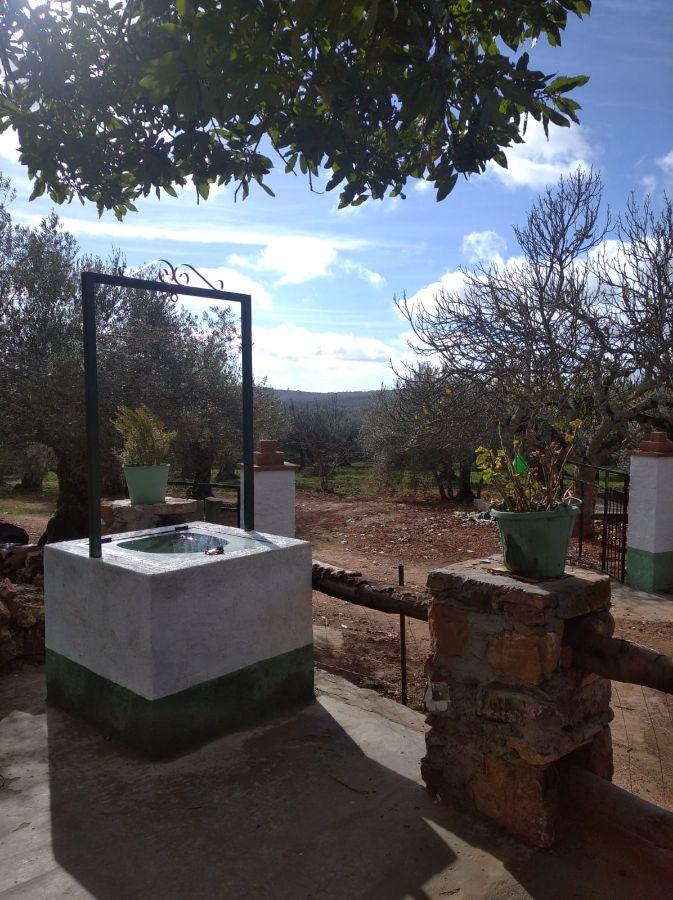 For sale of rural property in Fuentes de León