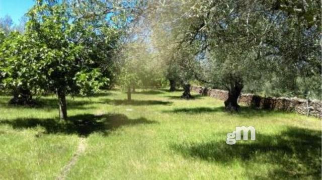 For sale of rural property in Fuentes de León