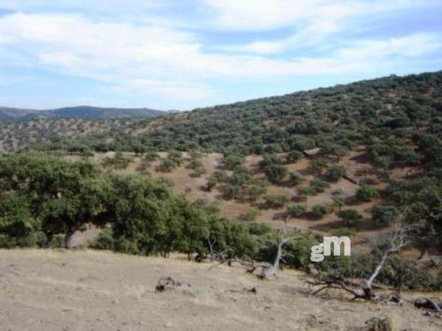 Venta de finca rústica en Cabeza la Vaca