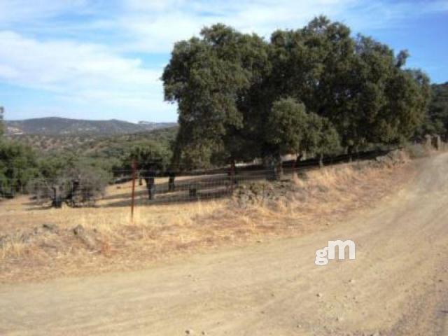 Venta de finca rústica en Cabeza la Vaca