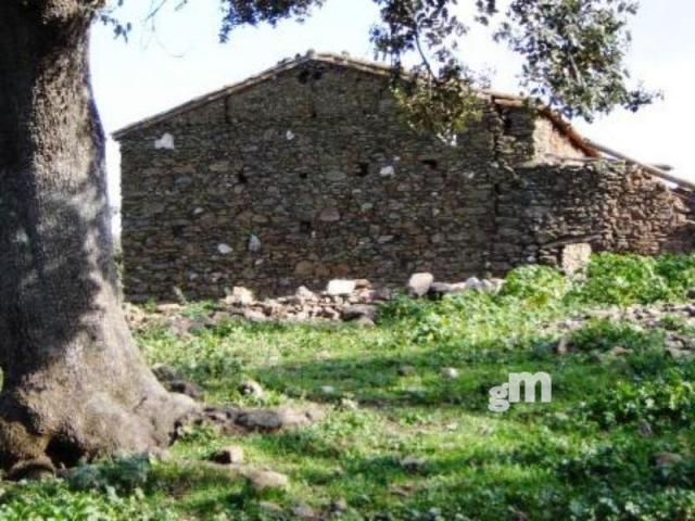 Venta de finca rústica en Cabeza la Vaca