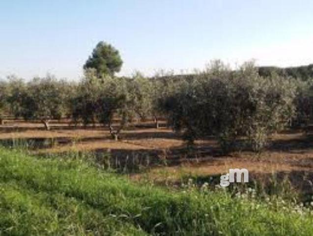 For sale of rural property in Aznalcázar