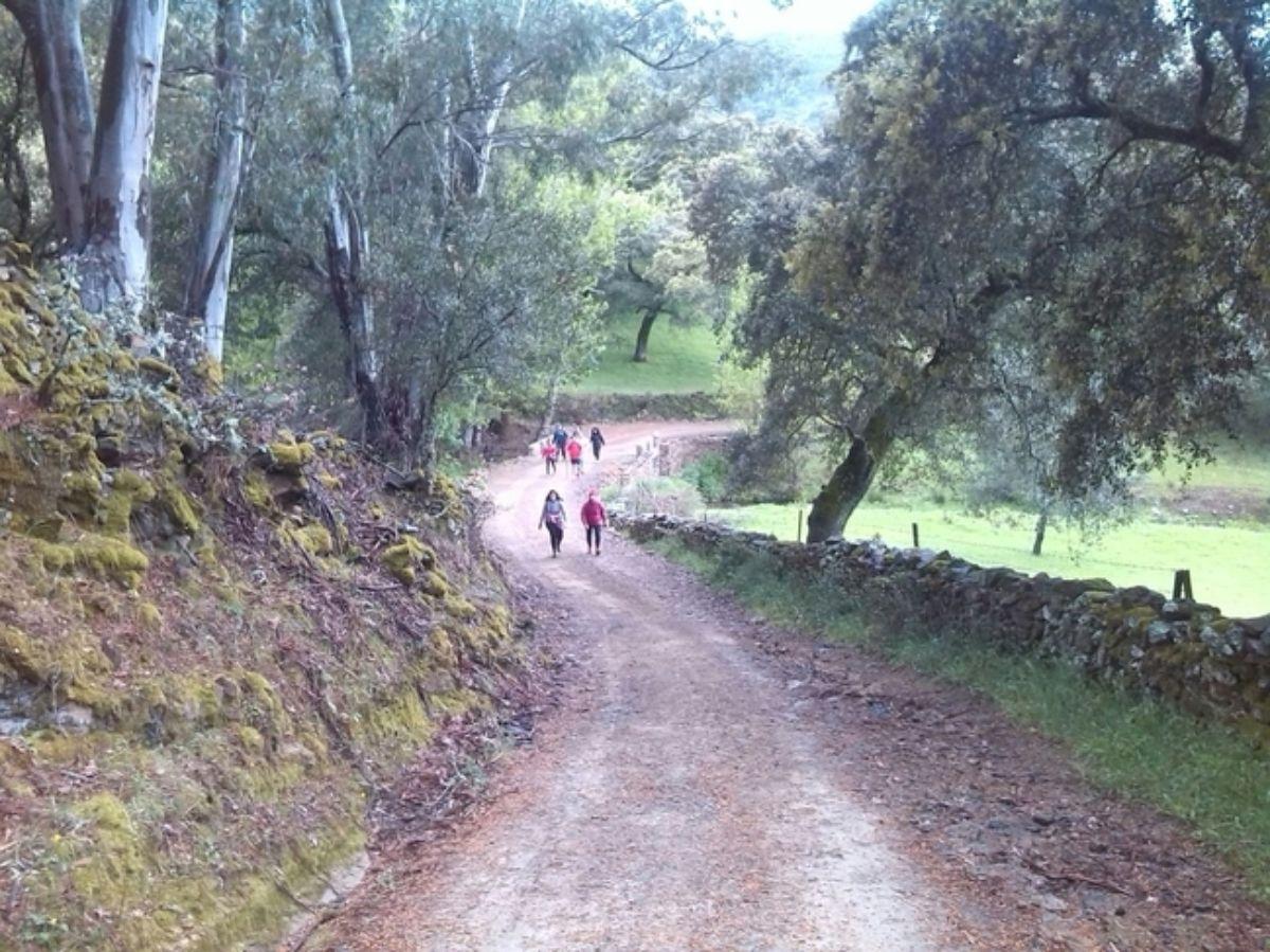 Venta de casa en Cabeza la Vaca