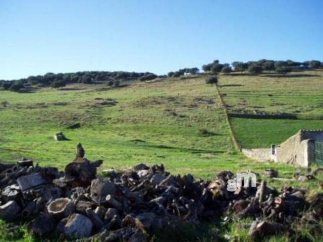 Venta de finca rústica en Segura de León