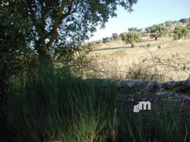 For sale of rural property in Segura de León