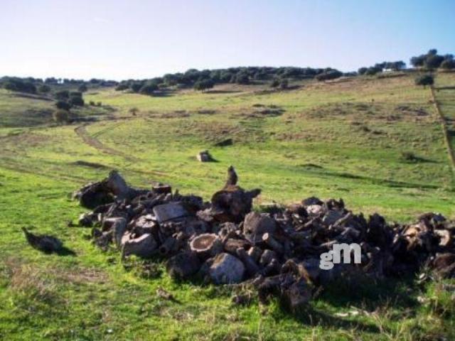 Venta de finca rústica en Segura de León