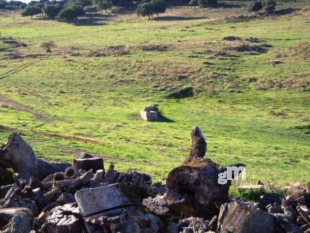 Venta de finca rústica en Segura de León