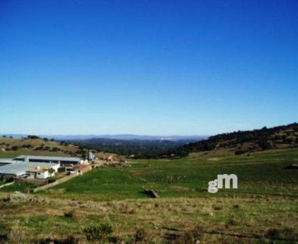 Venta de finca rústica en Segura de León