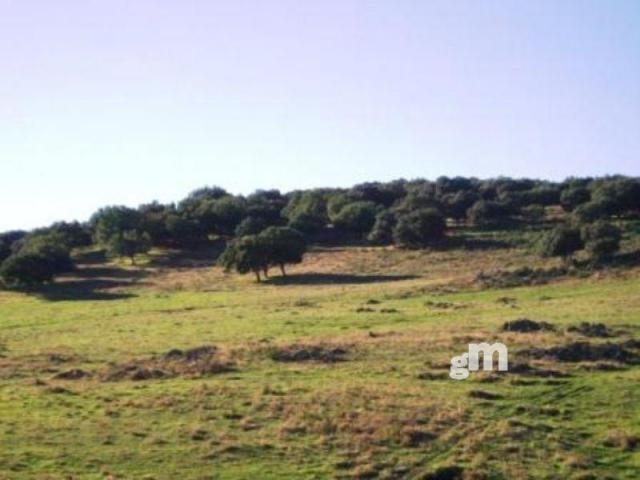 For sale of rural property in Segura de León